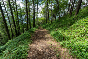 Hiking on Mountain Daibosatsu in Japan