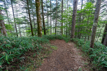 Hiking on Mountain Daibosatsu in Japan