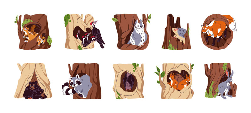 Different forest animals inside tree hollows set. Various woodland birds, hares, raccoon in wood holes. Squirrel, fox, bear in home, den, cave. Flat isolated vector illustrations on white background