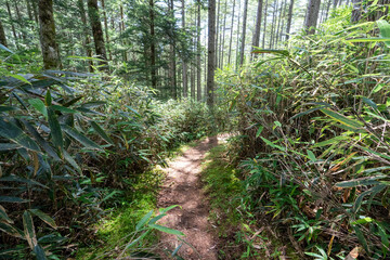Hiking on Mountain Daibosatsu in Japan