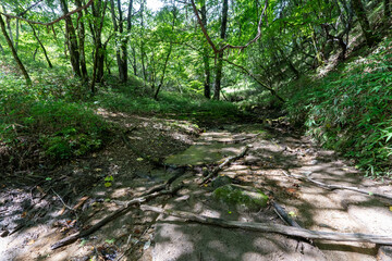 Hiking on Mountain Daibosatsu in Japan