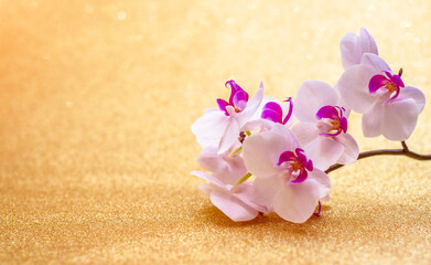 A branch of purple orchids on a shiny gold background
