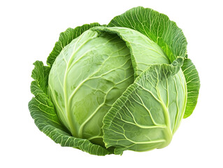 Fototapeta premium Fresh Whole Green Cabbage Isolated on Transparent Background