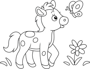 Funny little foal playing with a small butterfly in a summer flower field, black and white outline vector cartoon illustration for a coloring book