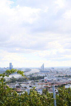 Wienwandern at Nussberg, Vienna.2024. 