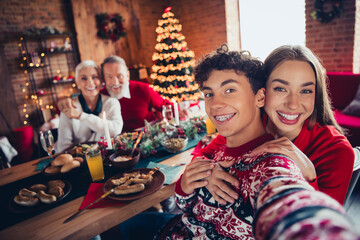 Portrait of four family members make selfie embrase sit table xmas new year enjoyment home flat indoors