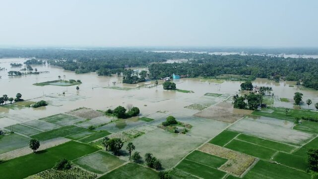 Ariel view shot of West Bengal flood by river Damodar and Mundeshwari in rainy season.