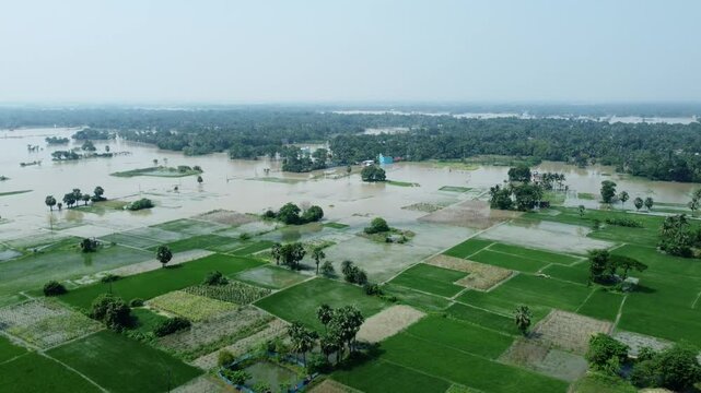Ariel view shot of West Bengal flood by river Damodar and Mundeshwari in rainy season.