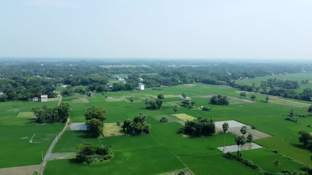 Ariel view shot of West Bengal flood by river Damodar and Mundeshwari in rainy season.