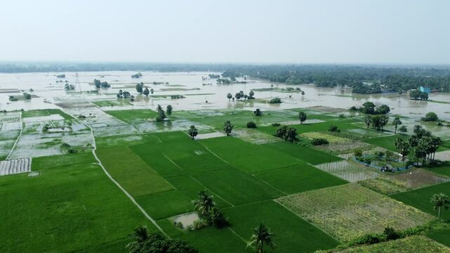 Ariel view shot of West Bengal flood by river Damodar and Mundeshwari in rainy season.