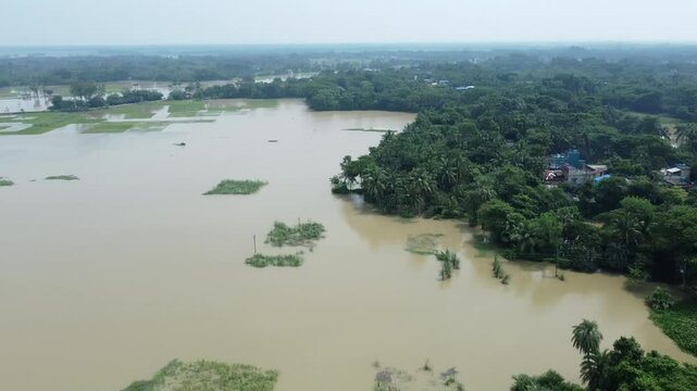 Ariel view shot of West Bengal flood by river Damodar and Mundeshwari in rainy season.