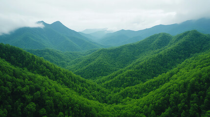 Fototapeta premium Breathtaking view of Great Smoky Mountains showcasing lush green hills and rolling landscapes under cloudy sky, evoking sense of tranquility and natural beauty