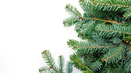 christmas background with christmas branches and decorations