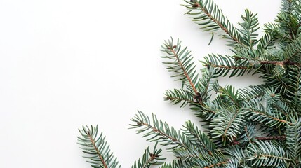 christmas background with christmas branches and decorations