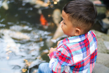 Feeding the hungry funny decorative Koi carps in the pond. Children's hand hold fish food. Animal care concept. Close up.