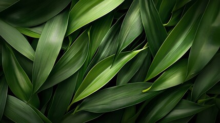 Lush Green Leaves Abundance in Nature&rsquo;s Tapestry