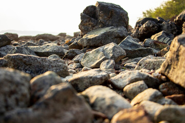 A rocky beach with a large rock in the foreground. The rocks are scattered all over the beach, creating a rugged and natural landscape. The sun is shining brightly, casting a warm glow on the scene