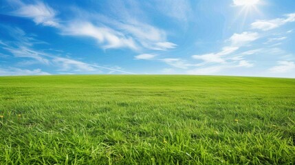 Lush Green Field Under Clear Blue Sky