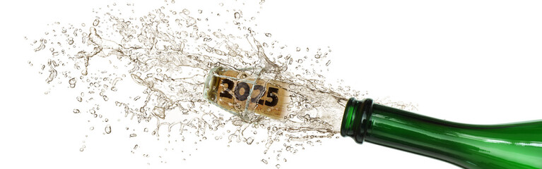 Silvester 594
