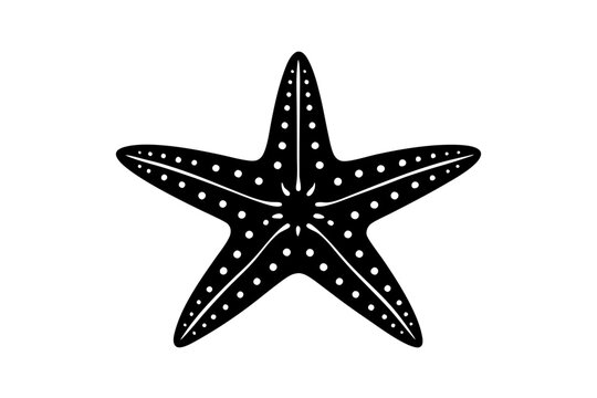 recommend clip art: starfish silhouette vector illustration white background