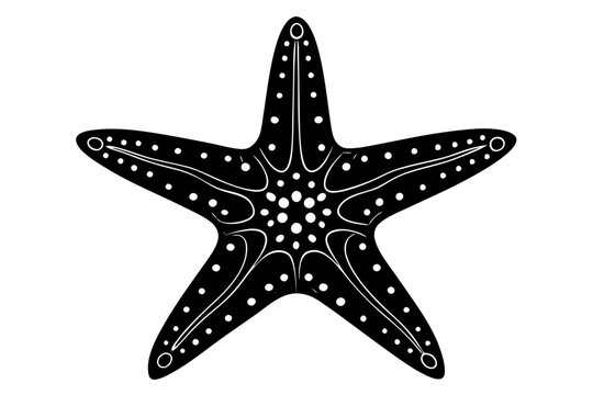 recommend clip art: starfish silhouette vector illustration white background