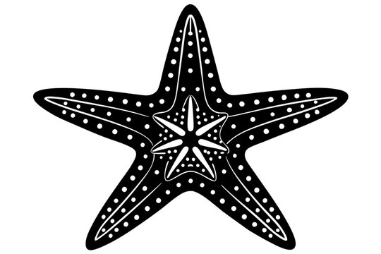 recommend clip art: starfish silhouette vector illustration white background