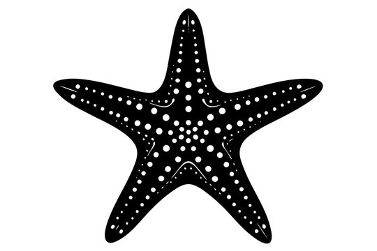 recommend clip art: starfish silhouette vector illustration white background