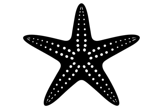 recommend clip art: starfish silhouette vector illustration white background