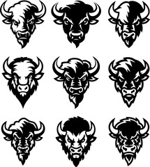 Illustration of wild bison. Design element for logo, label, sign. Vector illustration