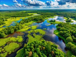 Fototapeta premium Aerial View of Lush Green Swamp with Water and Vegetation in a Vibrant Natural Landscape