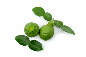 Fresh Kaffir lime or Citrus Bergamot fruit with green leaves,dorsal side and ventral side, isolated on white background stack top view flat lay.