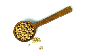 Dried coriander seeds in wooden spoon and outside isolated on white background top view flat lay. Pale white and brown in colors, have aroma essential oil, used as a spice. Herb and spice concept.