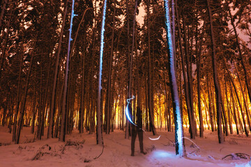 Winter night forest. Trees in snow.