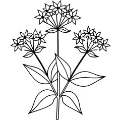 Stunning joe-pye weed flowers captured in a detailed vector illustration
