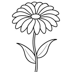 High quality vector illustration of helenium with gracefully curved petals
