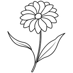 High quality vector illustration of helenium with gracefully curved petals
