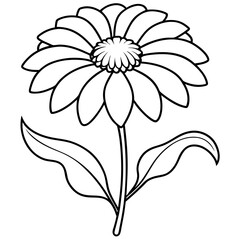 Stunning vector illustration of helenium with curved petals in vibrant natural colors
