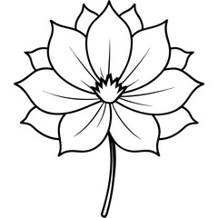 Whimsical Cosmos Flower Vector Illustration Bringing Color to Your Projects
