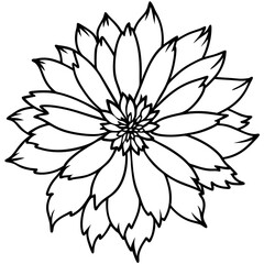 Beautiful Coreopsis Blossoms Vector Illustration Embracing the Essence of Sunlit Garden Flowers
