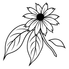 Detailed Coneflower Vector Illustration Highlighting Nature's Colorful Palette





