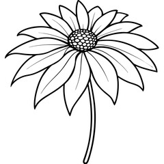 Stunning Coneflower Vector Illustration Showcasing the Beauty of Wildflowers
