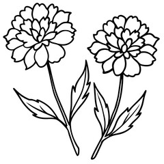 Vector Illustration of Autumn Marigold Trio Capturing the Beauty of Fall Flowers
