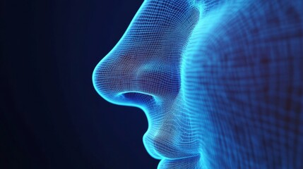 A polygonal wireframe illustration of the human nose for medical or design purposes.