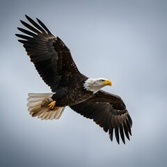 Naklejka premium A photorealistic image of a bald eagle soaring through the sky, with its wings outstretched.