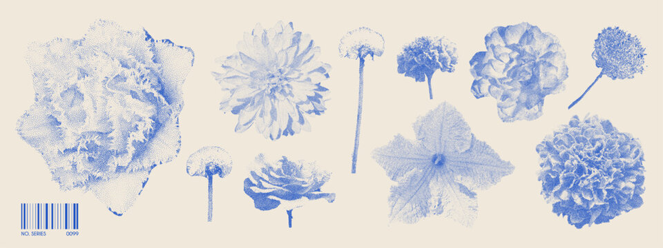 Collage element with flowers. Dandelion, rose, meadow flower, clover, tulip. Photocopy stipple effect