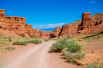 Charyn Canyon, Valley of Castles. The excellence of Kazakhstan. Panorama of natural unusual landscape. The red canyon of extraordinary beauty looks like a Martian landscape.