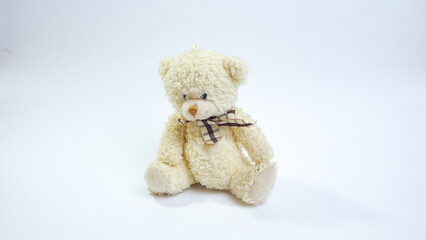 Small Teddy Bear on White Background