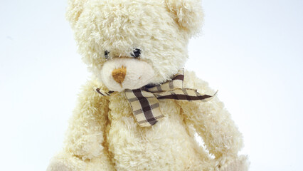 Small Teddy Bear on White Background