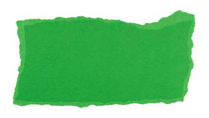 green torn paper in a rectangle shape