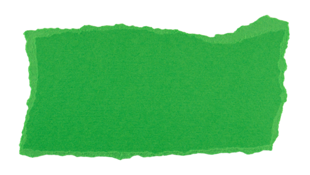 green torn paper in a rectangle shape